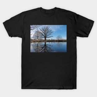 Reflections of trees in water T-Shirt